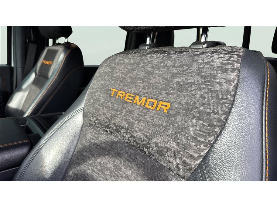 2024 Ford F-150 Tremor