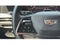 2025 Cadillac Escalade ESV 4WD Sport