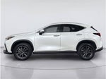 2024 Lexus NX NX 350h Premium