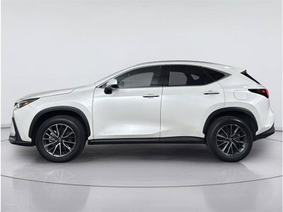 2024 Lexus NX NX 350h Premium