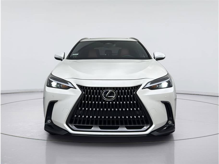 2024 Lexus NX NX 350h Premium